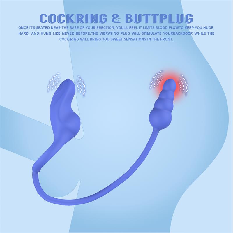 Dally Plug Anal con Anillo con Vibracion