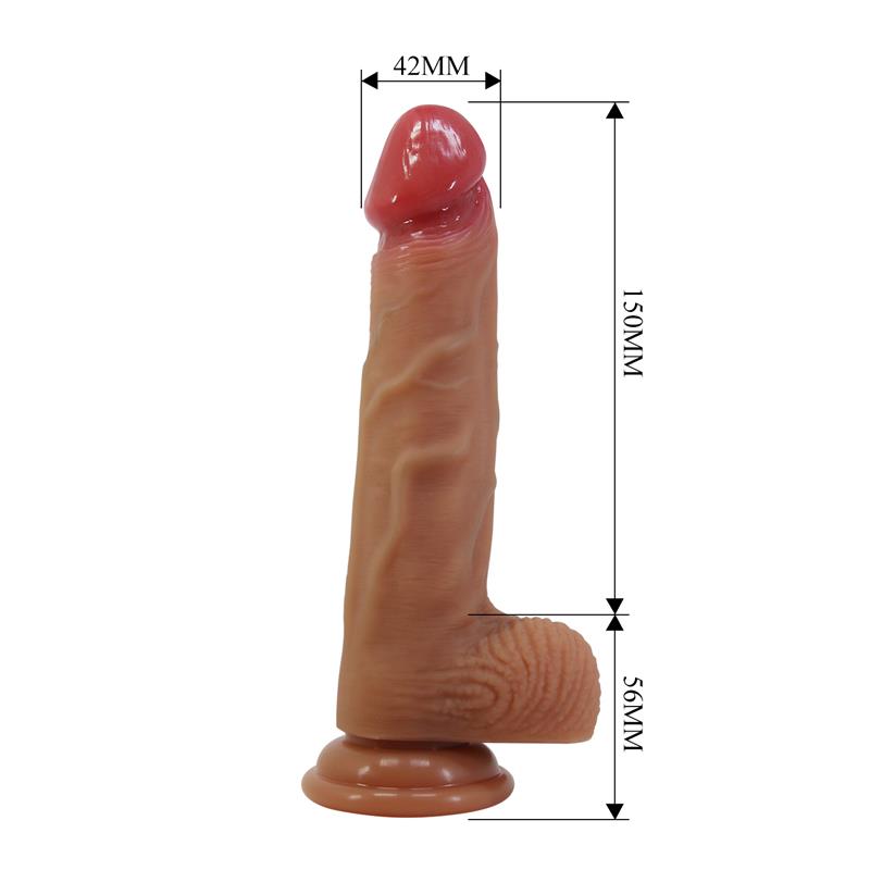Wells Arnes Universal con Dildo