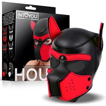 PACK PUPPY - Hora de jugar